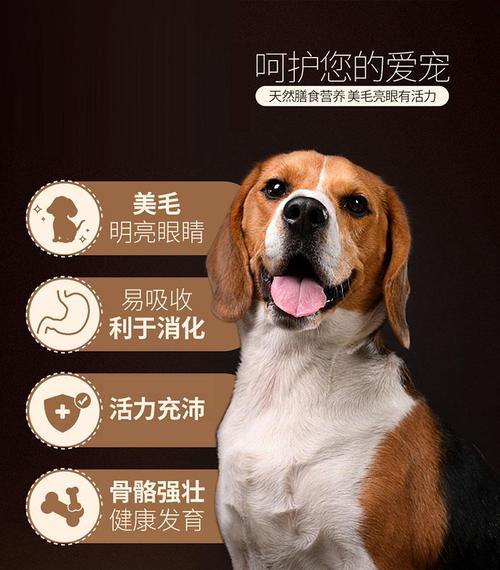 _佛山猫凯宠物商城