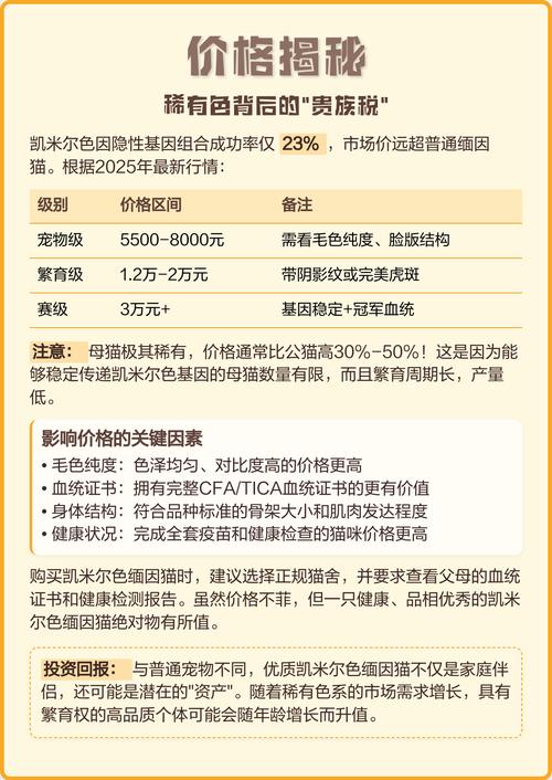 凯米尔缅因猫:奶油色温柔巨兽的贵族密码