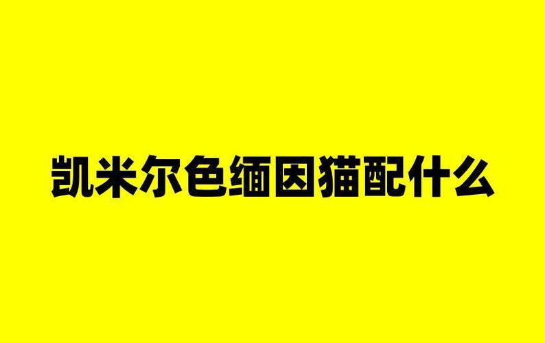 凯米尔色缅因猫配什么